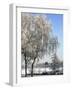 Frozen Pond in Park Landscape with Birch Trees Covered in Hoarfrost, Belgium-Philippe Clement-Framed Photographic Print