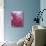 Frozen Raspberries-Chris Sch?fer-Photographic Print displayed on a wall