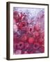 Frozen Raspberries-Chris Sch?fer-Framed Photographic Print