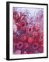 Frozen Raspberries-Chris Sch?fer-Framed Photographic Print