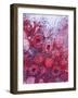 Frozen Raspberries-Chris Sch?fer-Framed Photographic Print