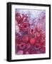 Frozen Raspberries-Chris Sch?fer-Framed Photographic Print