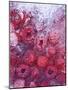Frozen Raspberries-Chris Sch?fer-Mounted Photographic Print