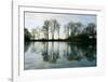 Frozen Reflections-Derek Harris-Framed Art Print