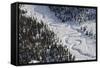 Frozen River Through Spruce Forest in Alaska-Paul Souders-Framed Stretched Canvas