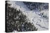 Frozen River Through Spruce Forest in Alaska-Paul Souders-Stretched Canvas