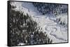 Frozen River Through Spruce Forest in Alaska-Paul Souders-Framed Stretched Canvas
