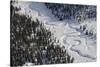 Frozen River Through Spruce Forest in Alaska-Paul Souders-Stretched Canvas