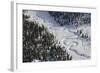 Frozen River Through Spruce Forest in Alaska-Paul Souders-Framed Photographic Print