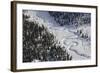 Frozen River Through Spruce Forest in Alaska-Paul Souders-Framed Photographic Print