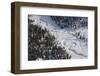 Frozen River Through Spruce Forest in Alaska-Paul Souders-Framed Photographic Print