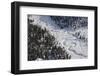 Frozen River Through Spruce Forest in Alaska-Paul Souders-Framed Photographic Print