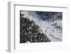 Frozen River Through Spruce Forest in Alaska-Paul Souders-Framed Photographic Print