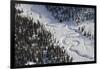 Frozen River Through Spruce Forest in Alaska-Paul Souders-Framed Photographic Print