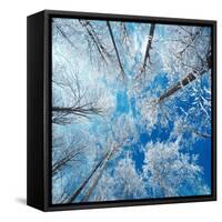 Frozen Sky-Philippe Sainte-Laudy-Framed Stretched Canvas