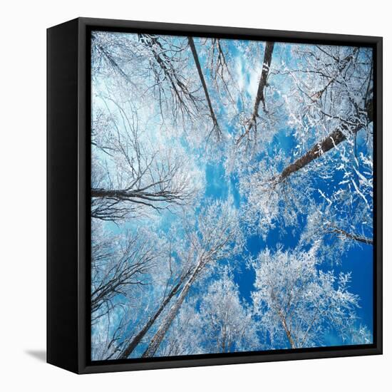 Frozen Sky-Philippe Sainte-Laudy-Framed Stretched Canvas