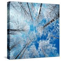 Frozen Sky-Philippe Sainte-Laudy-Stretched Canvas