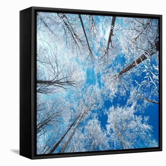 Frozen Sky-Philippe Sainte-Laudy-Framed Stretched Canvas