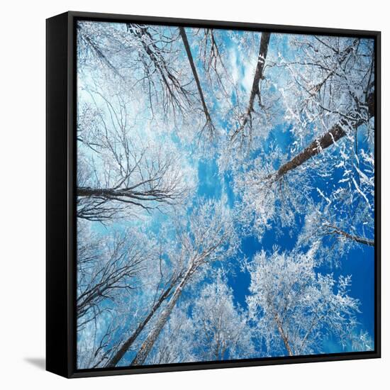 Frozen Sky-Philippe Sainte-Laudy-Framed Stretched Canvas