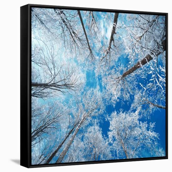 Frozen Sky-Philippe Sainte-Laudy-Framed Stretched Canvas