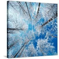 Frozen Sky-Philippe Sainte-Laudy-Stretched Canvas