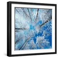 Frozen Sky-Philippe Sainte-Laudy-Framed Premium Photographic Print