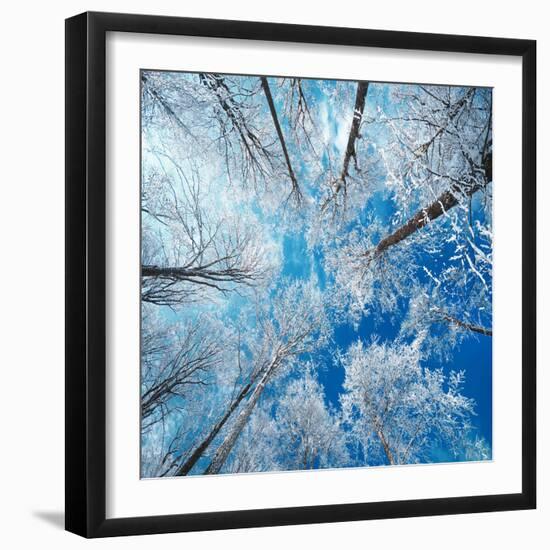 Frozen Sky-Philippe Sainte-Laudy-Framed Premium Photographic Print