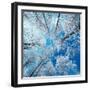 Frozen Sky-Philippe Sainte-Laudy-Framed Premium Photographic Print