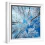 Frozen Sky-Philippe Sainte-Laudy-Framed Premium Photographic Print