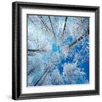 Frozen Sky-Philippe Sainte-Laudy-Framed Photographic Print