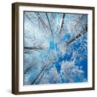 Frozen Sky-Philippe Sainte-Laudy-Framed Photographic Print