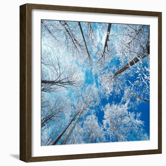 Frozen Sky-Philippe Sainte-Laudy-Framed Photographic Print