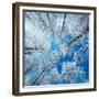 Frozen Sky-Philippe Sainte-Laudy-Framed Photographic Print