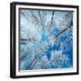 Frozen Sky-Philippe Sainte-Laudy-Framed Photographic Print