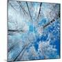 Frozen Sky-Philippe Sainte-Laudy-Mounted Photographic Print