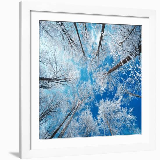 Frozen Sky-Philippe Sainte-Laudy-Framed Photographic Print