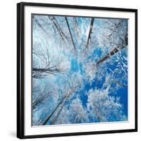 Frozen Sky-Philippe Sainte-Laudy-Framed Photographic Print