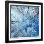 Frozen Sky-Philippe Sainte-Laudy-Framed Photographic Print