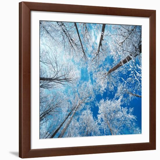 Frozen Sky-Philippe Sainte-Laudy-Framed Photographic Print