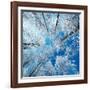 Frozen Sky-Philippe Sainte-Laudy-Framed Photographic Print