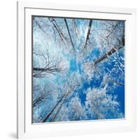 Frozen Sky-Philippe Sainte-Laudy-Framed Photographic Print