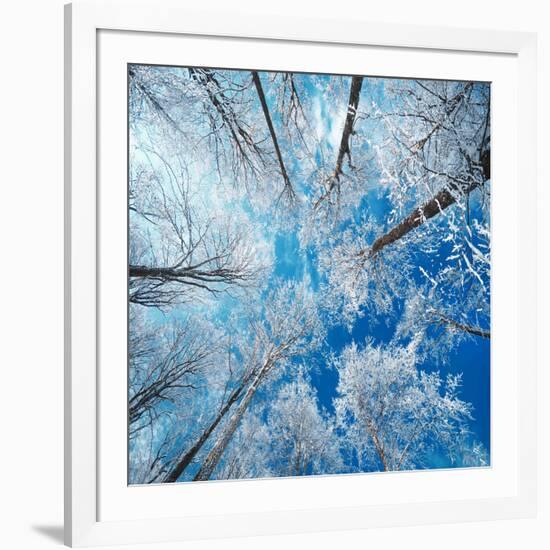 Frozen Sky-Philippe Sainte-Laudy-Framed Photographic Print