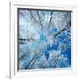 Frozen Sky-Philippe Sainte-Laudy-Framed Photographic Print