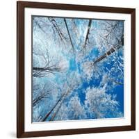 Frozen Sky-Philippe Sainte-Laudy-Framed Photographic Print