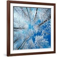 Frozen Sky-Philippe Sainte-Laudy-Framed Photographic Print