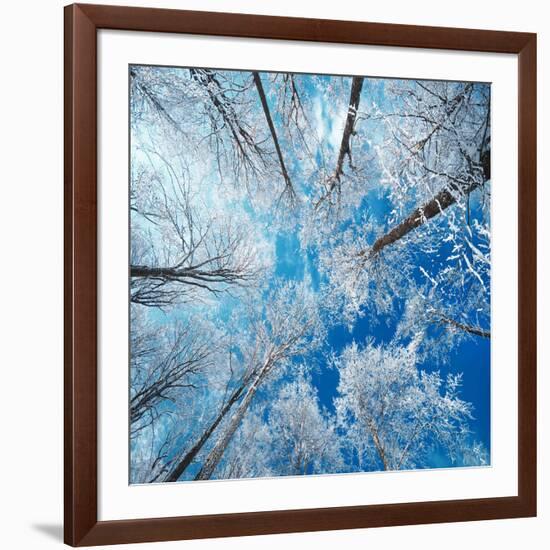 Frozen Sky-Philippe Sainte-Laudy-Framed Photographic Print