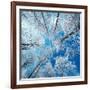 Frozen Sky-Philippe Sainte-Laudy-Framed Photographic Print