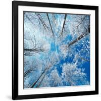 Frozen Sky-Philippe Sainte-Laudy-Framed Photographic Print