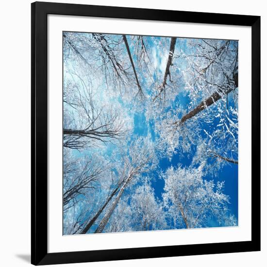 Frozen Sky-Philippe Sainte-Laudy-Framed Photographic Print