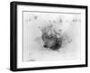 Frozen Sled Dog-null-Framed Photographic Print